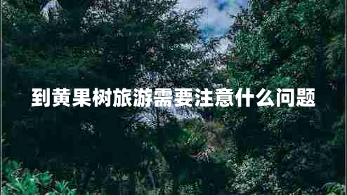 到黃果樹旅游需要注意什么問題 到黃果樹旅游需要注意什么問題