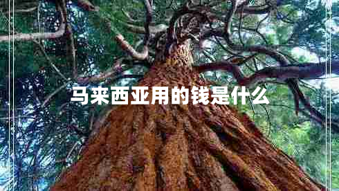 馬來西亞用的錢是什么