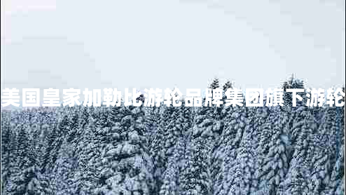 美國(guó)皇家加勒比游輪品牌集團(tuán)旗下游輪