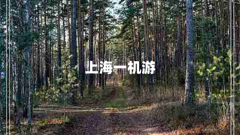 上海一機游