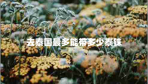 去泰國(guó)最多能帶多少泰銖