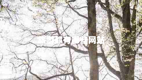 旅游都有哪些網(wǎng)站