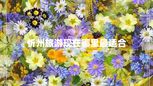 忻州旅游現(xiàn)在哪里最適合