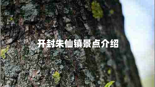 開封朱仙鎮(zhèn)景點(diǎn)介紹