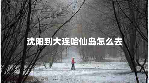 沈陽(yáng)到大連哈仙島怎么去