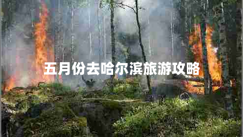 五月份去哈爾濱旅游攻略