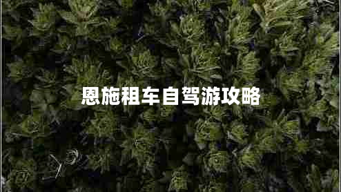 恩施租車自駕游攻略