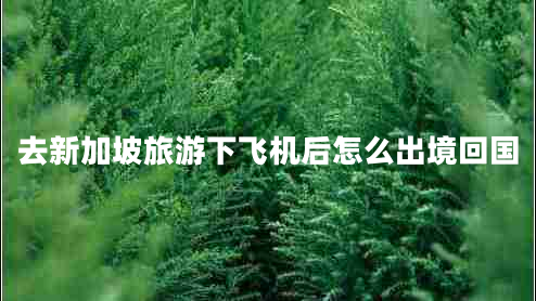 去新加坡旅游下飛機(jī)后怎么出境回國 去新加坡旅游下飛機(jī)后怎么出境回國