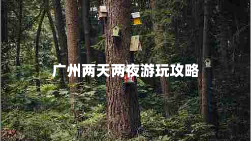 廣州兩天兩夜游玩攻略