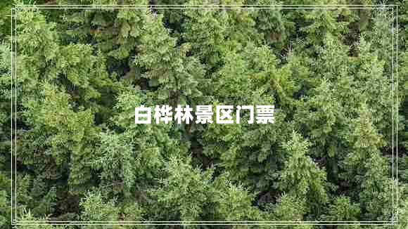 白樺林景區(qū)門票 白樺林景區(qū)門票