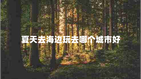 夏天去海邊玩去哪個(gè)城市好