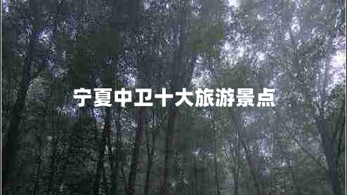 寧夏中衛(wèi)十大旅游景點 寧夏中衛(wèi)十大旅游景點