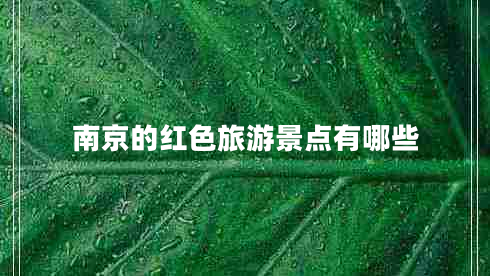 南京的紅色旅游景點(diǎn)有哪些 南京的紅色旅游景點(diǎn)有哪些