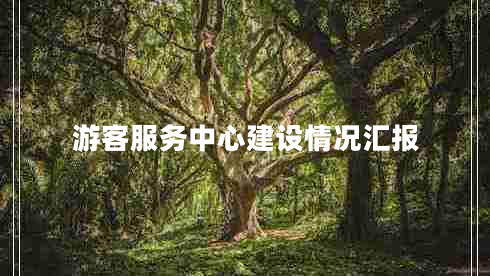游客服務(wù)中心建設(shè)情況匯報
