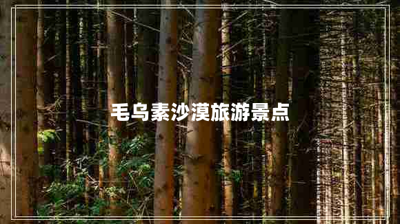 毛烏素沙漠旅游景點(diǎn)