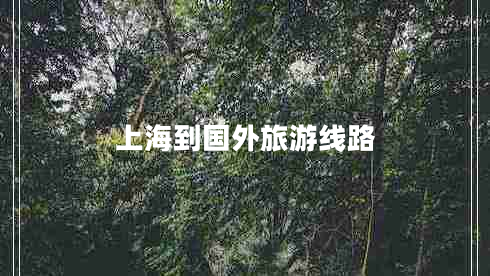 上海到國外旅游線路 上海到國外旅游線路
