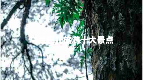 烏蘭巴托旅游十大景點