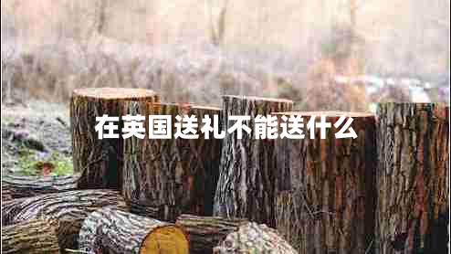 在英國送禮不能送什么