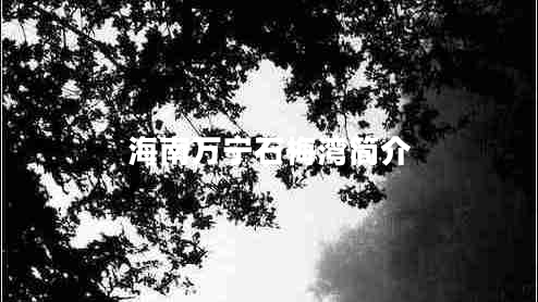 海南萬寧石梅灣簡介