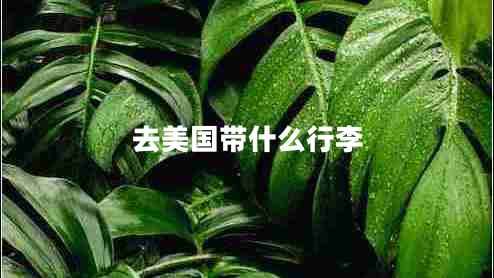 去美國帶什么行李