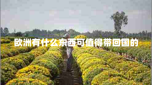 歐洲有什么東西可值得帶回國的