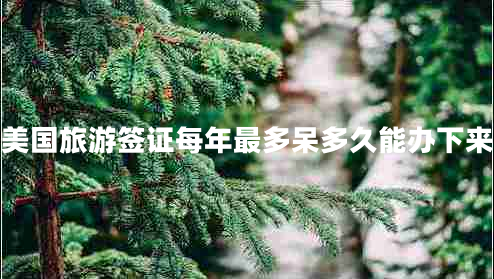 美國旅游簽證每年最多呆多久能辦下來 美國旅游簽證每年最多呆多久能辦下來