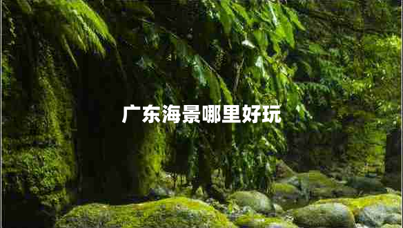 廣東海景哪里好玩