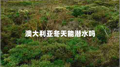 澳大利亞冬天能潛水嗎