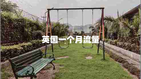 英國(guó)一個(gè)月流量 英國(guó)一個(gè)月流量