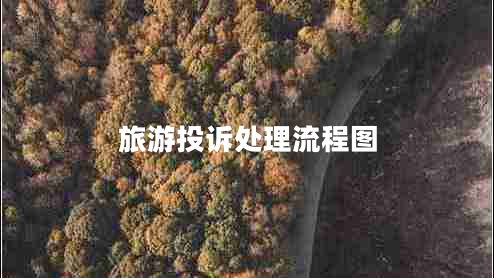 旅游投訴處理流程圖 旅游投訴處理流程圖