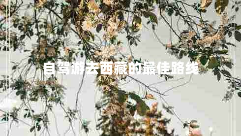 自駕游去西藏的最佳路線 自駕游去西藏的最佳路線