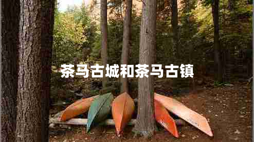 茶馬古城和茶馬古鎮(zhèn)