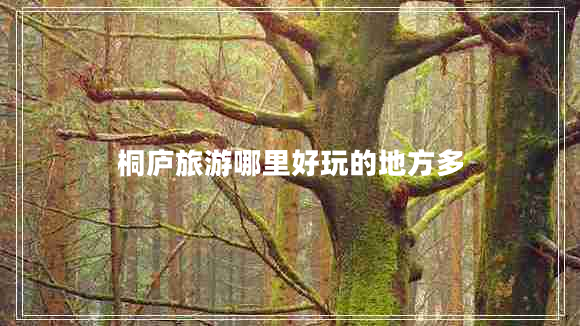 桐廬旅游哪里好玩的地方多 桐廬旅游哪里好玩的地方多