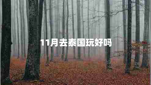 11月去泰國玩好嗎