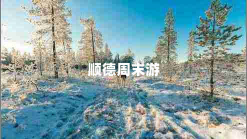 順德周末游 順德周末游