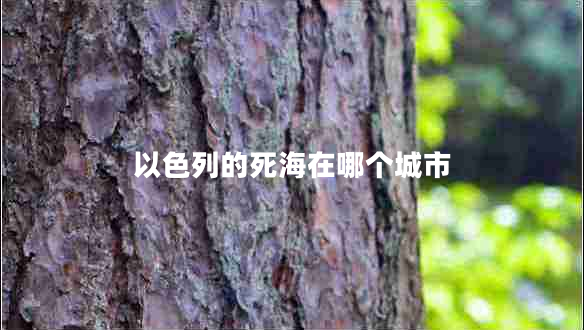 以色列的死海在哪個(gè)城市