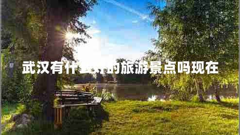 武漢有什么好的旅游景點嗎現(xiàn)在