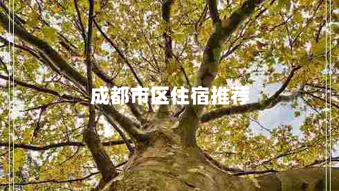 成都市區(qū)住宿推薦