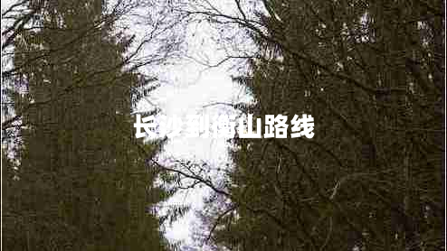 長沙到衡山路線