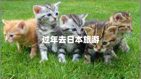 過年去日本旅游
