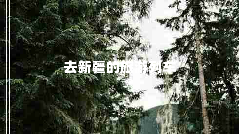 去新疆的旅游列車