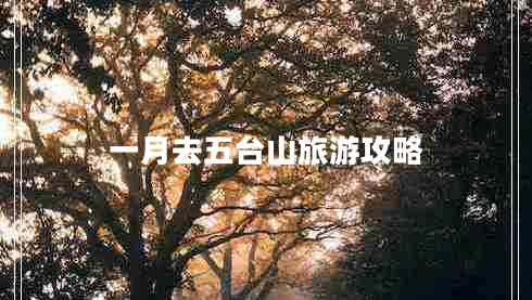 一月去五臺(tái)山旅游攻略