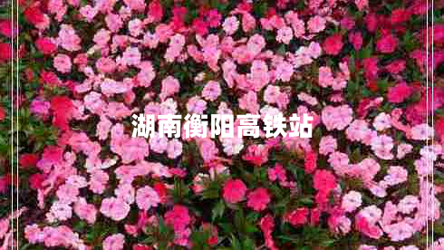 湖南衡陽(yáng)高鐵站