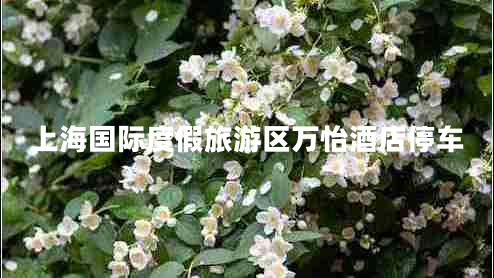 上海國際度假旅游區(qū)萬怡酒店停車