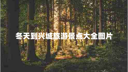 冬天到興城旅游景點大全圖片