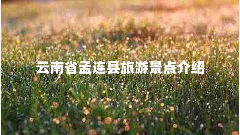 云南省孟連縣旅游景點(diǎn)介紹