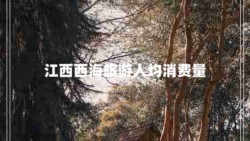 江西西海旅游人均消費量