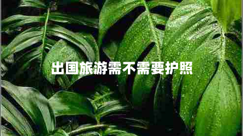 出國(guó)旅游需不需要護(hù)照