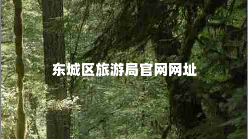 東城區(qū)旅游局官網(wǎng)網(wǎng)址 東城區(qū)旅游局官網(wǎng)網(wǎng)址