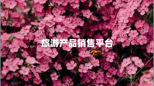 旅游產(chǎn)品銷售平臺